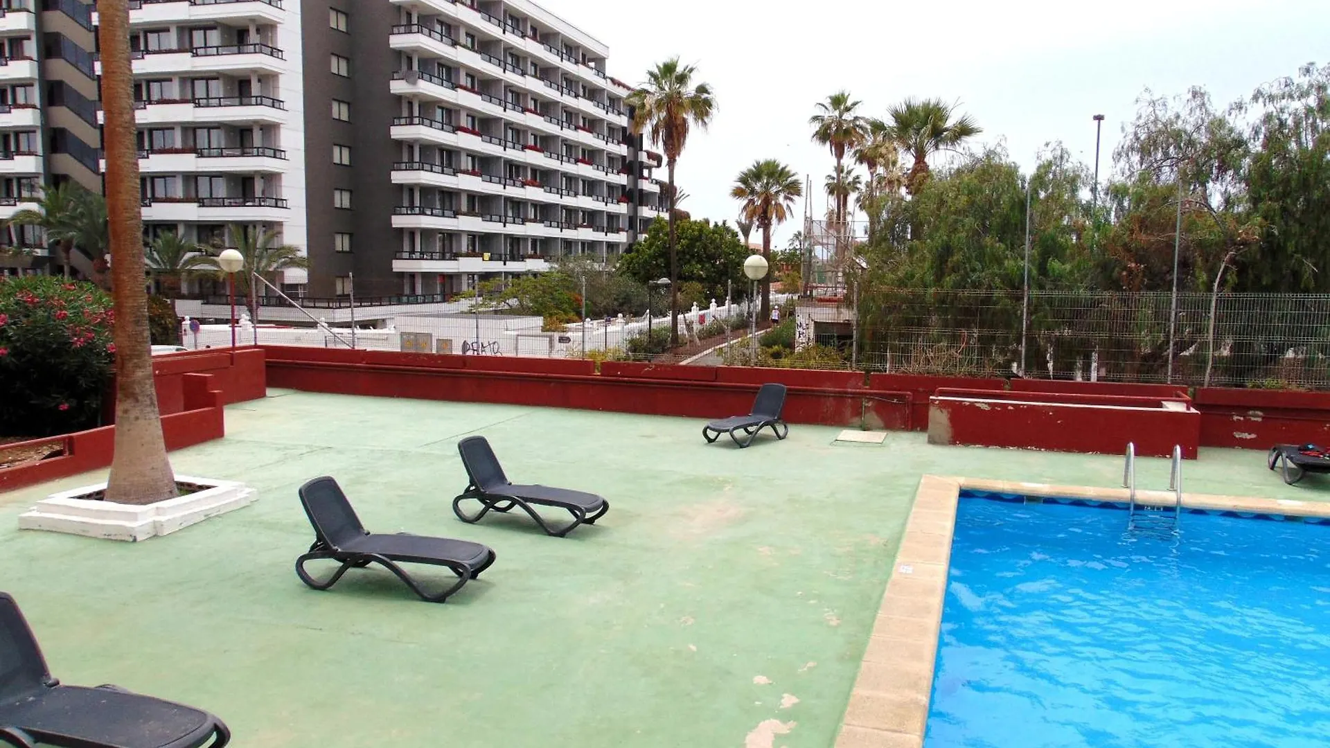 Apartment Altemar In Las Americas Playa de las Americas