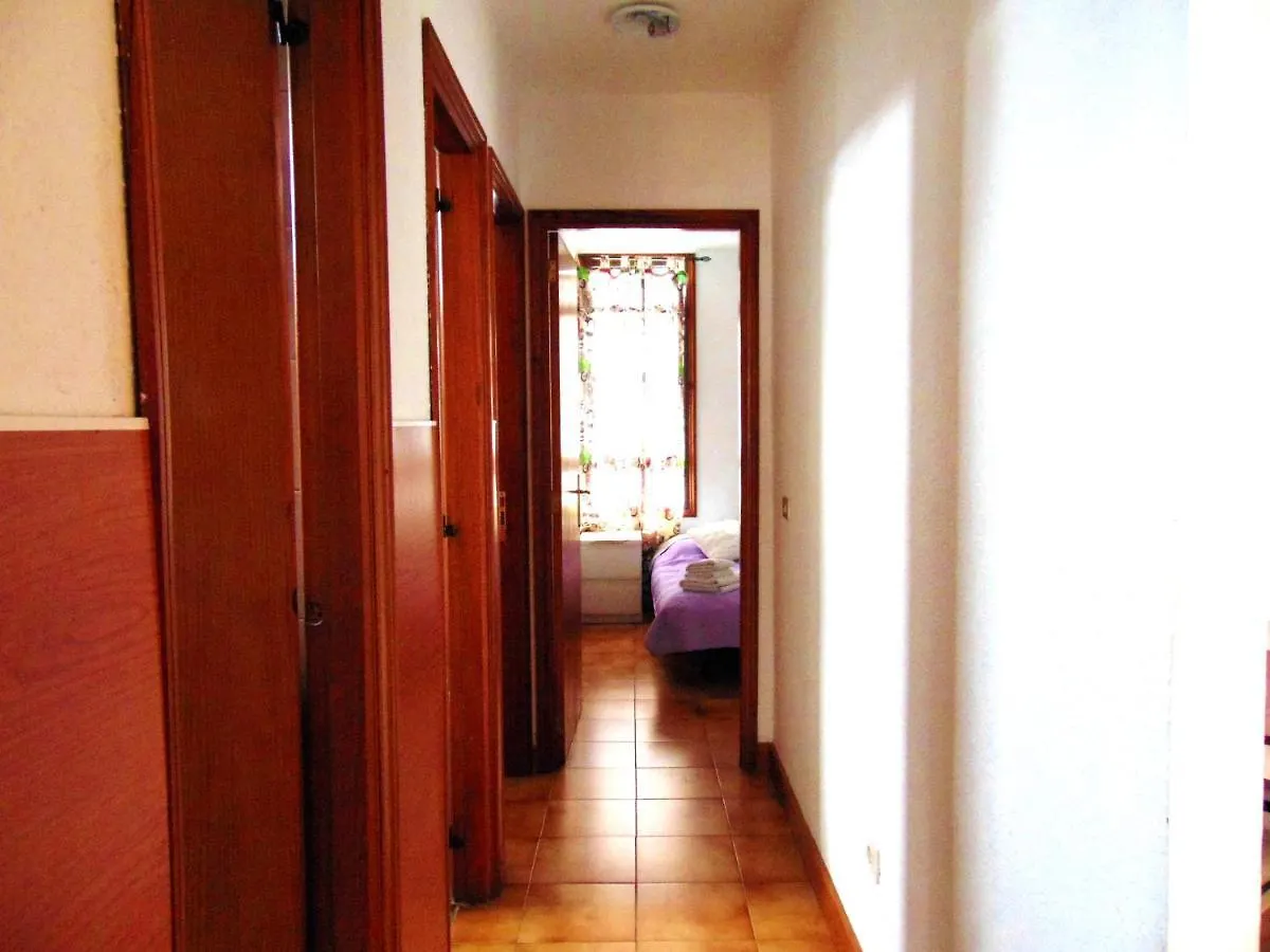 Apartment Altemar In Las Americas Playa de las Americas   Playa de las Americas (Tenerife)