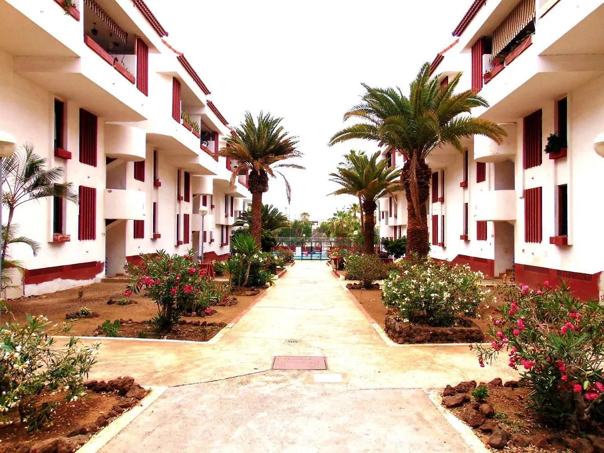 Apartment Altemar In Las Americas Playa de las Americas